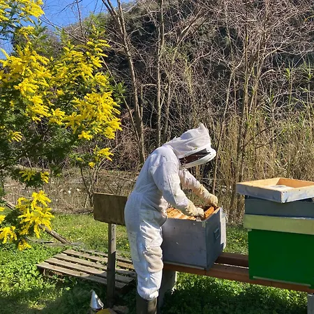 Ca Du Praettu Albisola Superiore