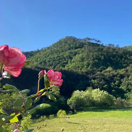 Ca Du Praettu 招待所 3*