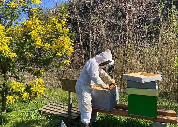 Ca Du Praettu Albisola Superiore