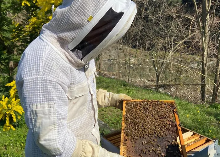 Гостевой дом Ca Du Praettu